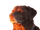 Floating meme 6